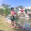 Edith Anshely - @anshelydd - TikTok