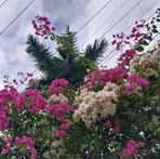 Edith Antonio - Facebook