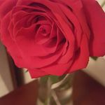 Edith Aponte - @edith_aponte - Instagram