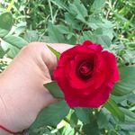Edith Argueta - @ivette5821 - Instagram