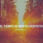 Edith Argueta - @argueta1940 - Instagram