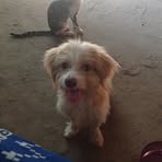 Edith Armas Pezo - Facebook