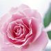 Edith Armstrong - Facebook