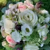 Edith Arendt - @edith.arendt - TikTok