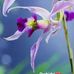 Edith Arndt - Facebook