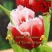 Edith Ashley - Facebook