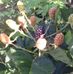 Edith Astudillo - Facebook
