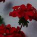 Edith Astudillo - Facebook