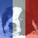 love puppies - @edithaucoin - Instagram