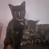 Edith Avalos - @edithavalos34 - TikTok