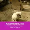 Edith_Aviles. - @edith_avil - TikTok