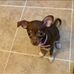 Edith Ayers - Facebook