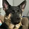 Mason - @babcockedits - TikTok