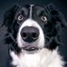 Edith Bacher - Facebook