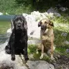 edithtrogbacher - @edithtrogbacher - TikTok