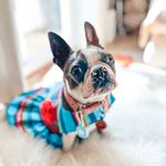 Eedie - @lady_edith_of_bacon_bitz - Instagram