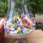 Edie's Succulent Gardens - @edithbaileyberridge - Instagram