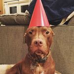 Edith Blue Bailey - @edie_blue_bailey - Instagram