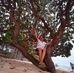 Editha Balla - Facebook