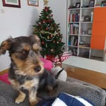 @edithballagan - Instagram