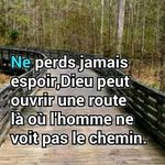 Edith Balog - @edith.balog - Instagram