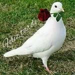 Edith Baltazar - @edith.baltazar.587 - Instagram