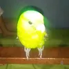 👑KIVEN THE PARROT AND BEYBLAD - @cledithdaniel_banzon - TikTok
