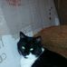 Edith Barbier - Facebook