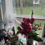 Edith Barillas - Facebook