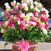 Edith Barrientos - Facebook