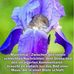 Edith Barth - Facebook