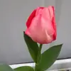 Edith Barthou - Kapunac - @edith.barthou.kap - TikTok
