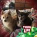 Edith Barton - Facebook