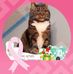 Edith Bastien - Facebook