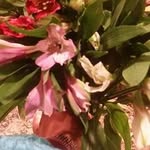 Edith Battle - @edith.battle.9 - Instagram