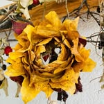 Baumann-meier Edith - @baumannmeieredith - Instagram