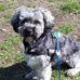Edith Baumann - Facebook