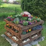 Edith Bauer - Facebook