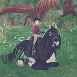 Star Stable Online  <3 - @edith_beachlake - Instagram