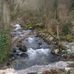 Edith Beal - Facebook