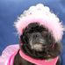 Edie Bean - Facebook