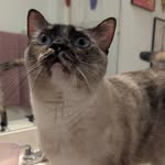 Edith "Stinky Bean" Louise - @tisedithlouise - Instagram