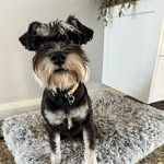 Edith - @bearded_edith - Instagram