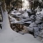 Edith Beaudry - Facebook