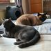 Edith Bechtel - Facebook