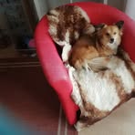 Edith Becker - Facebook