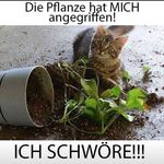 Edith Berger - @edith.berger.568 - Instagram