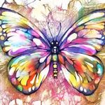Edith Berger - @edith.berger.948 - Instagram