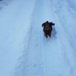 Edith Berger - @edithberger5 - Instagram