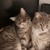 Edith Bergmann - Facebook